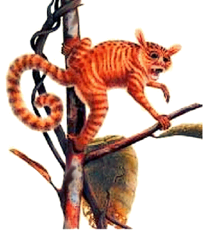 eosimias